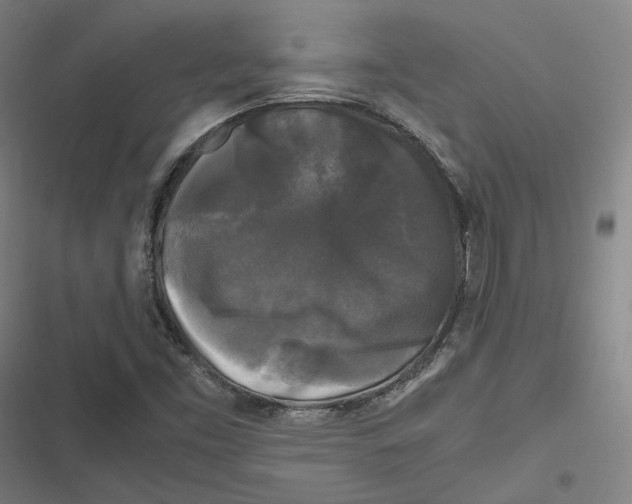 X0000116801453201001081324