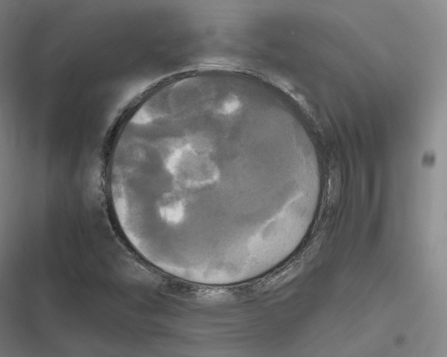 X0000116801454201001081324