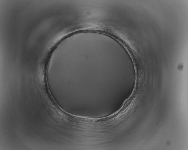 X0000116801455201001081324