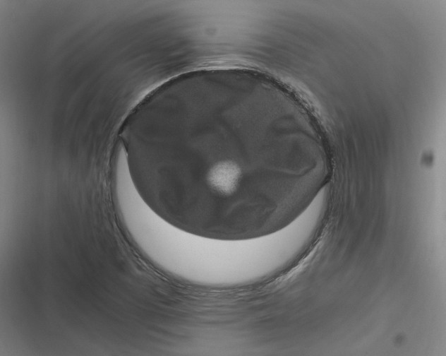 X0000116801457201001081324