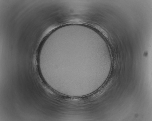 X0000116801458201001081324