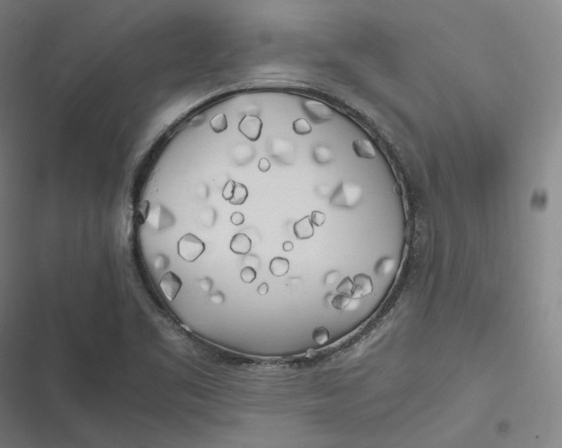 X0000116801461201001081324