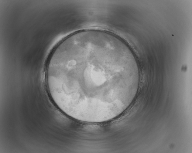 X0000116801462201001081324