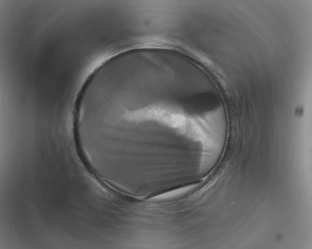 X0000116801463201001081324