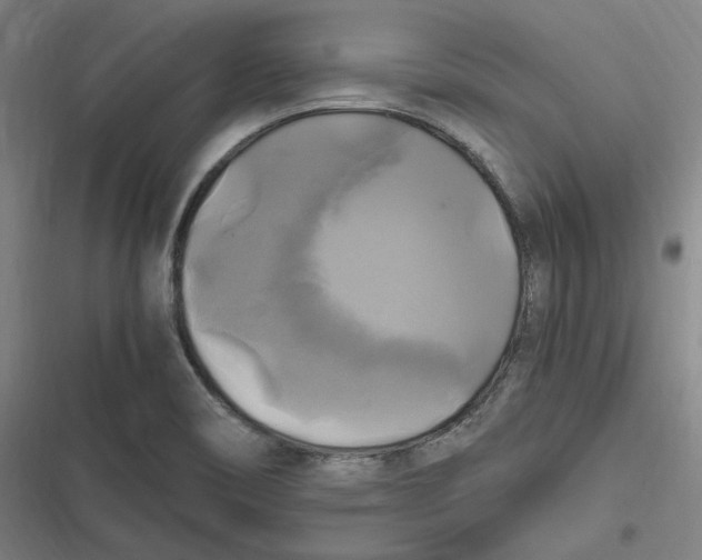 X0000116801466201001081324