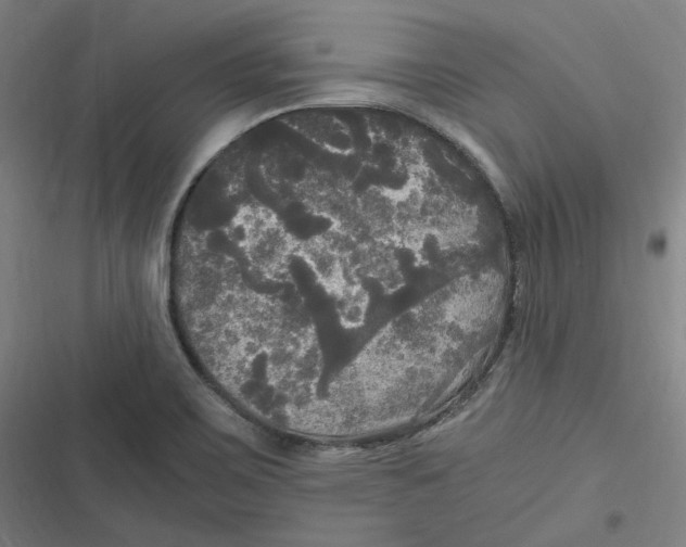 X0000116801467201001081324