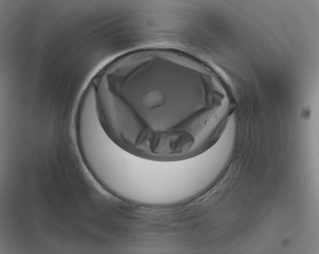 X0000116801468201001081324