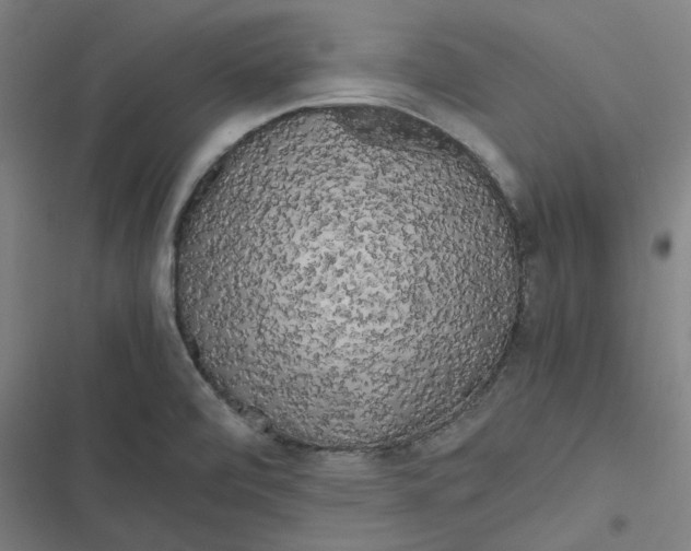 X0000116801472201001081324