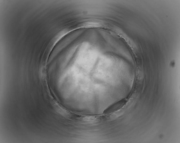 X0000116801473201001081324