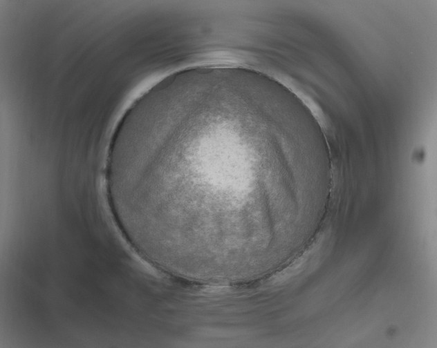 X0000116801477201001081324