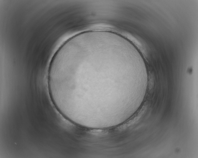 X0000116801478201001081324