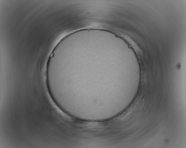 X0000116801479201001081324