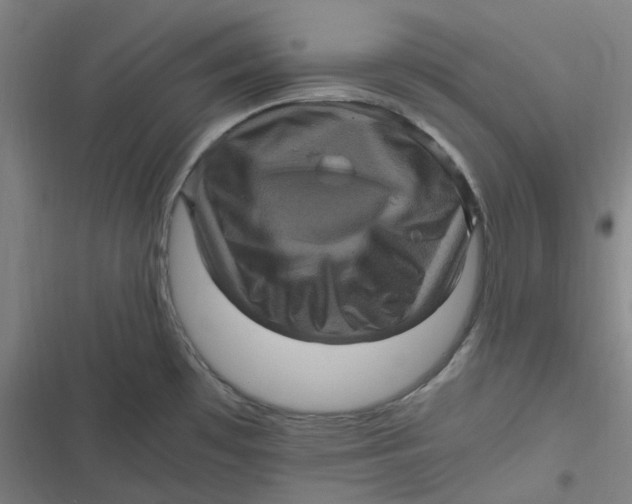 X0000116801481201001081324