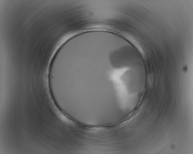 X0000116801482201001081324