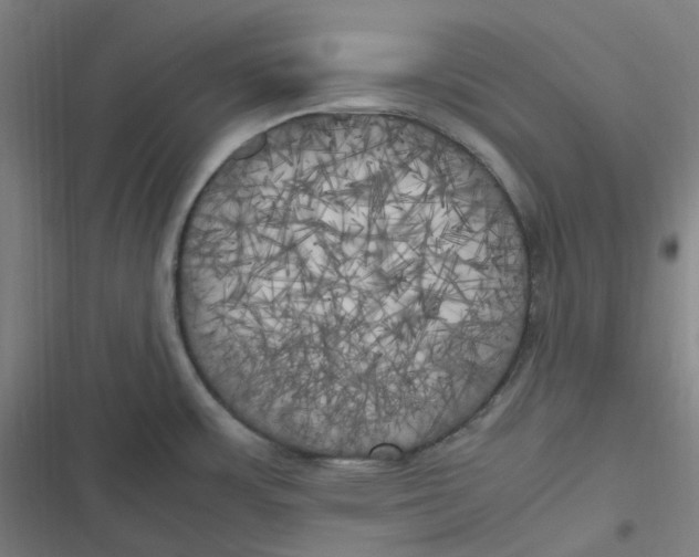 X0000116801483201001081324