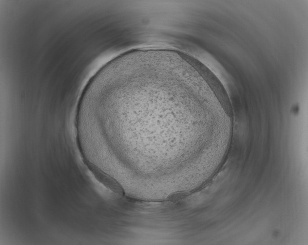 X0000116801485201001081324