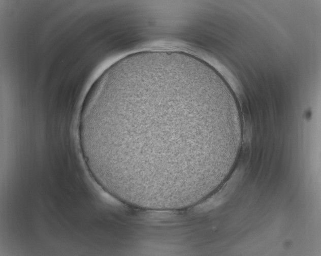 X0000116801486201001081324