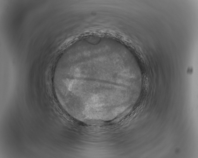 X0000116801489201001081323