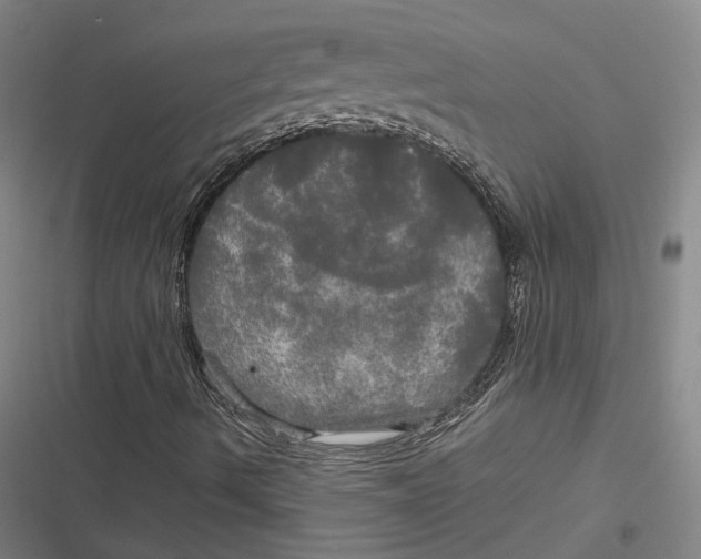 X0000116801490201001081323