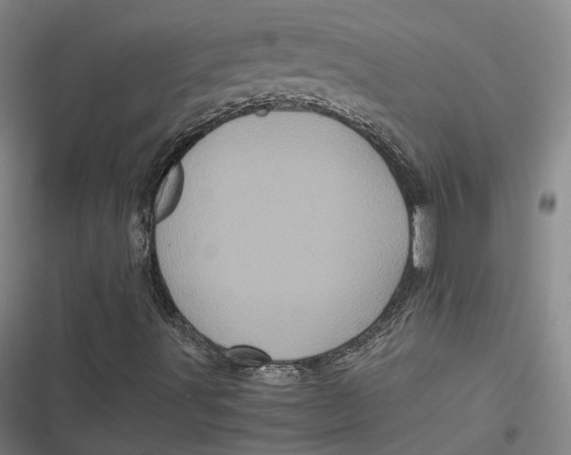 X0000116801491201001081323