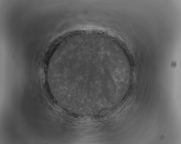 X0000116801493201001081323