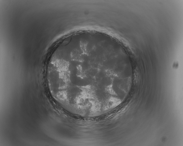 X0000116801494201001081323