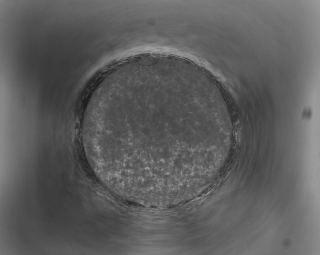 X0000116801495201001081323