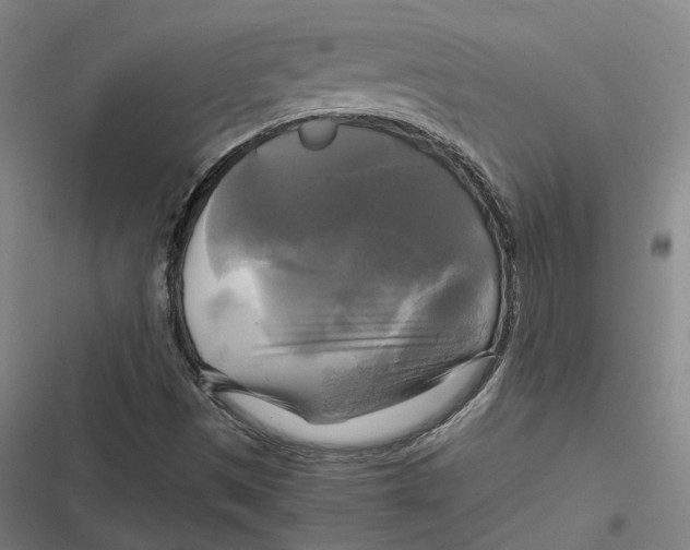 X0000116801497201001081323