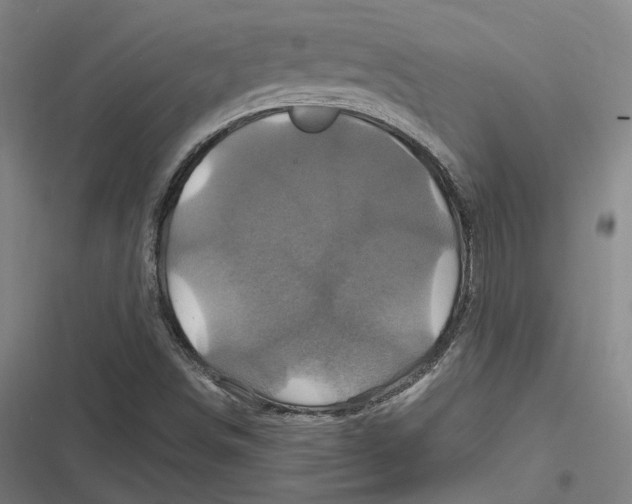 X0000116801498201001081323