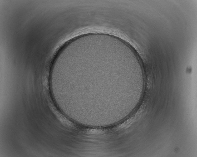 X0000116801499201001081323