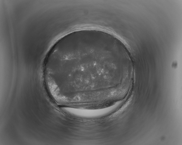 X0000116801501201001081323