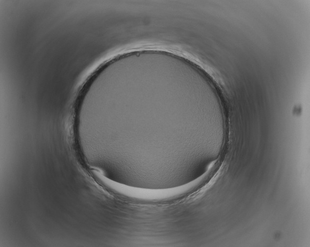 X0000116801502201001081323