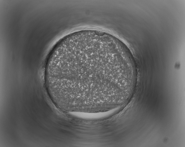 X0000116801503201001081323