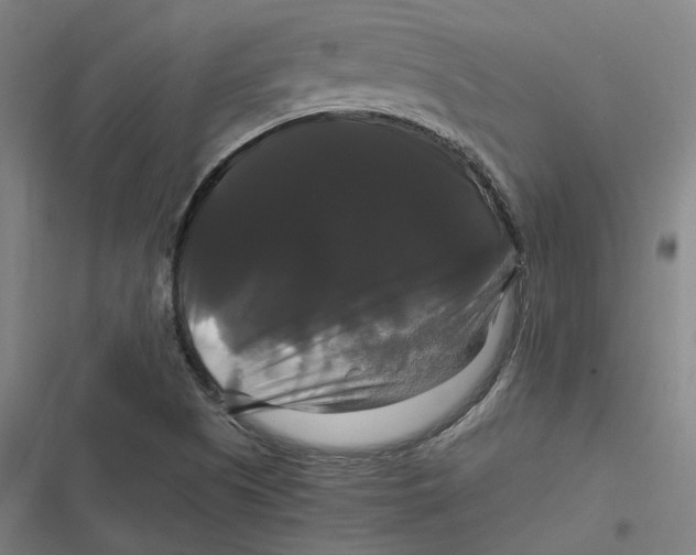 X0000116801505201001081323