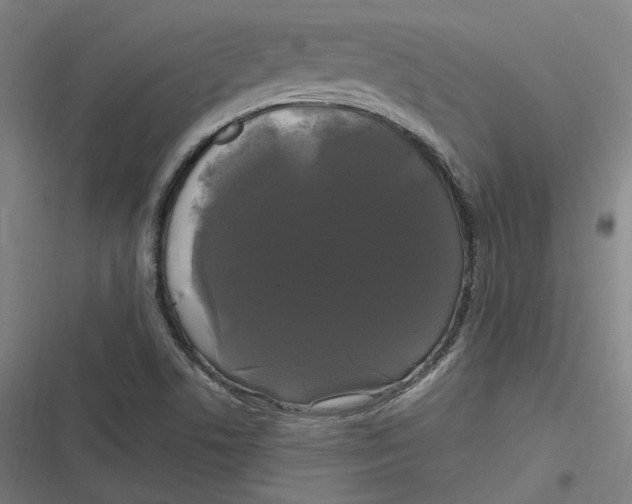 X0000116801506201001081323