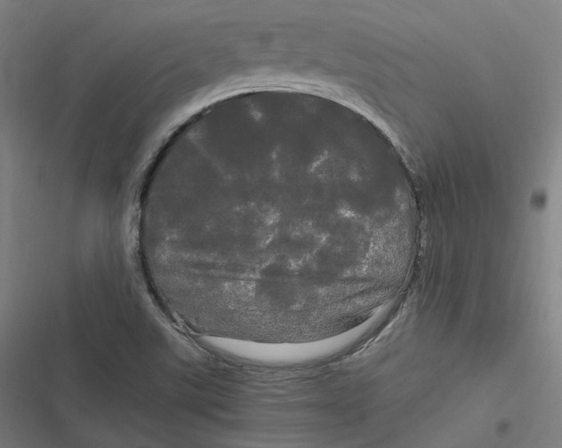 X0000116801507201001081323