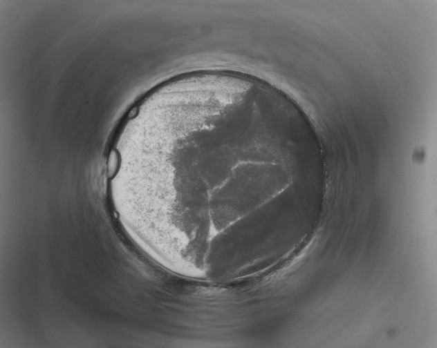 X0000116801509201001081323