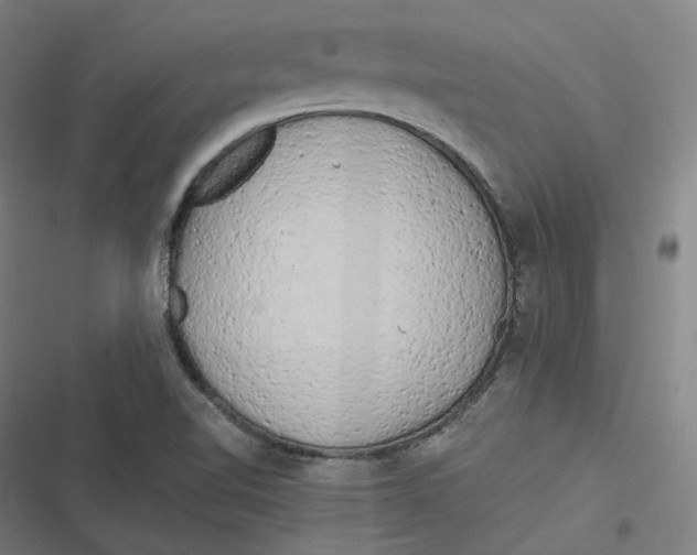 X0000116801510201001081323