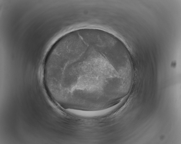 X0000116801511201001081323