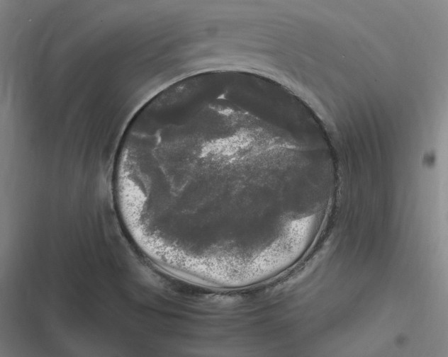 X0000116801513201001081323