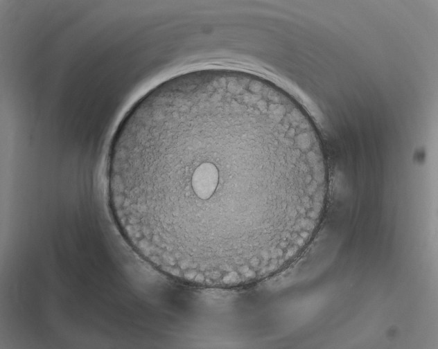 X0000116801514201001081323