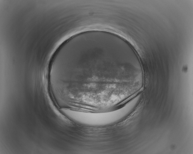 X0000116801515201001081323