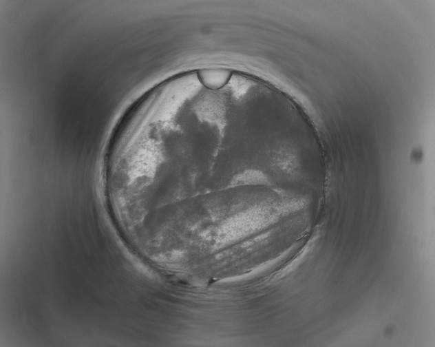 X0000116801517201001081324