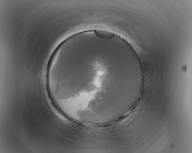 X0000116801519201001081324