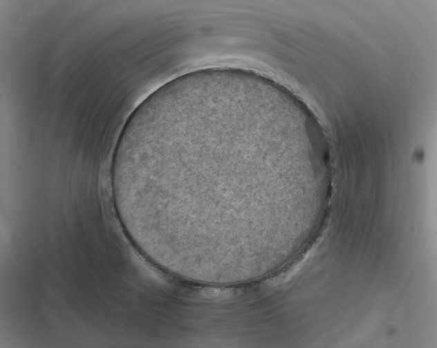 X0000116801521201001081324