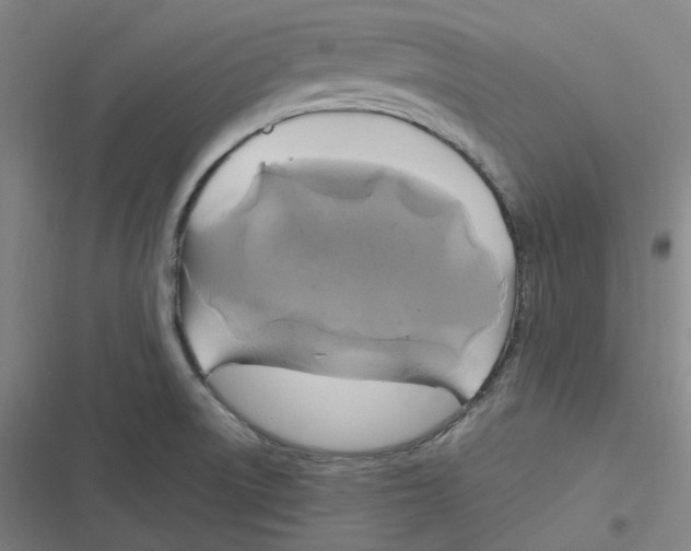 X0000116801522201001081324