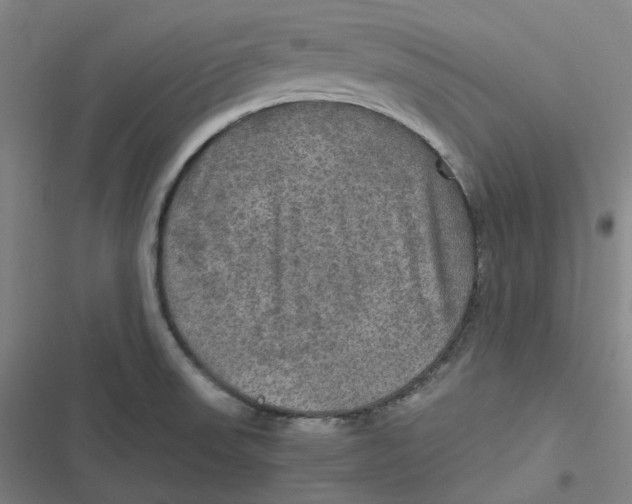 X0000116801523201001081324