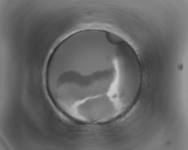 X0000116801525201001081324