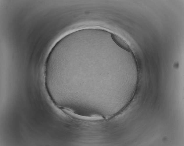 X0000116801526201001081324