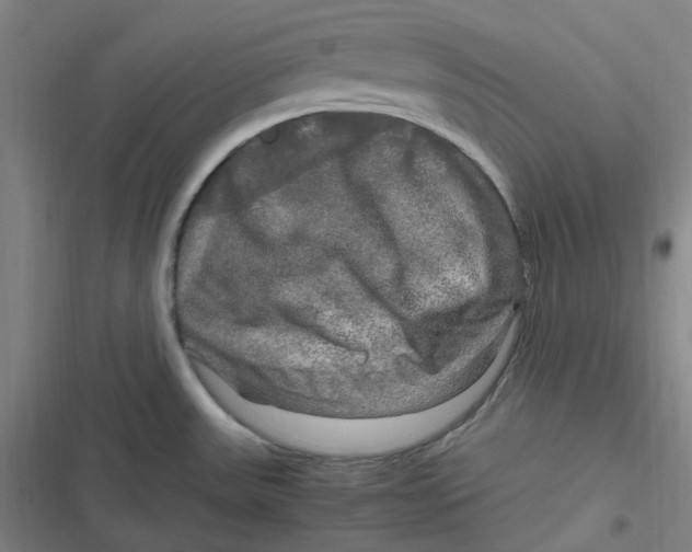 X0000116801531201001081324